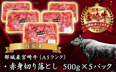 宮崎牛(A5)赤身切り落とし 2.5kg_DI-0102_(都城市) 赤身 切り落とし 宮崎牛 A5ランク