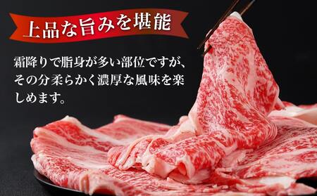 宮崎牛リブローススライス500g_AO-2501_(都城市) 都城産 宮崎牛 リブローススライス 500g 