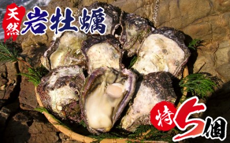 A603 延岡産天然岩牡蠣(生食用)特サイズ5個(2020年4月から発送開始)