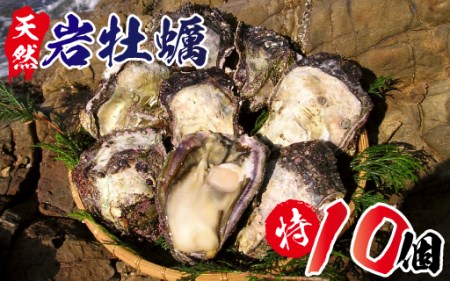 C028 延岡産天然岩牡蠣(生食用)特サイズ10個(2020年4月から発送開始)