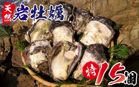 D011 延岡産天然岩牡蠣(生食用)特サイズ15個(2020年4月から発送開始)