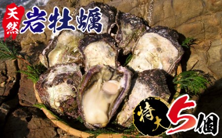 A906 延岡産天然岩牡蠣(生食用)特大サイズ5個(2020年4月から発送開始)