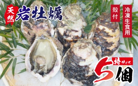 A604 延岡産天然岩牡蠣(冷凍生食用)特サイズ5個(2020年4月から発送開始)