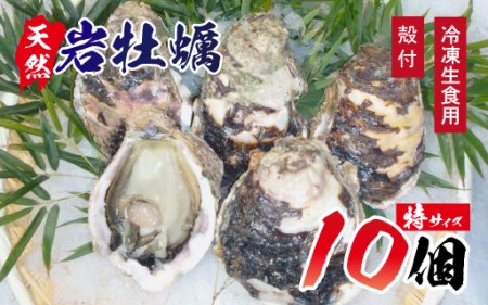 C029 延岡産天然岩牡蠣(冷凍生食用)特サイズ10個(2020年4月から発送開始)