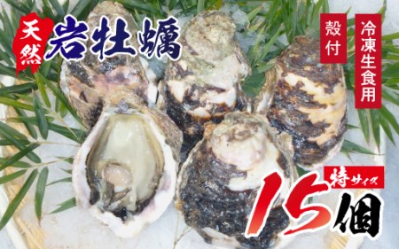 D012 延岡産天然岩牡蠣(冷凍生食用)特サイズ15個(2020年4月から発送開始)
