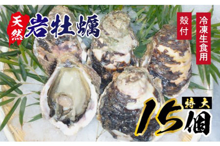 E007 延岡産天然岩牡蠣(冷凍生食用)特大サイズ15個(2020年4月から発送開始)