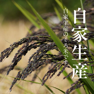 米くろ米500g N0182-YA0472