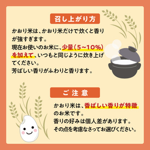 米 かおり米 500g N0182-YA0470