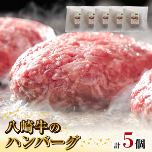 八崎牛のハンバーグ120g×5個 N0105-YZA4408
