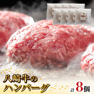 八崎牛のハンバーグ120g×8個 N0105-YZB246