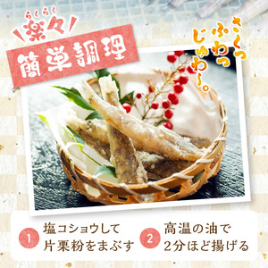 延岡産めひかり無頭小サイズ500g×2袋 N0184-YA2268