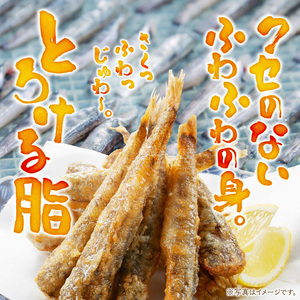 延岡産めひかり無頭中サイズ500g×2袋 N0184-YA2267