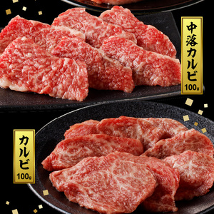 宮崎牛 焼肉食べ比べ6種盛600g N0140-YB446