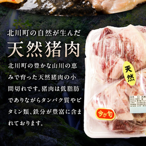 北川産イノシシ肉　N009-ZA590