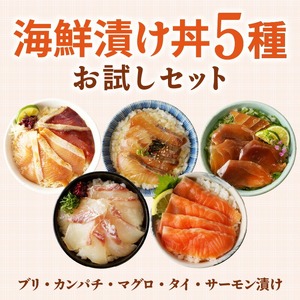 【冷凍】海鮮漬け丼5種お試しセット N019-YA192