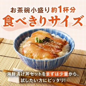 【冷凍】海鮮漬け丼5種お試しセット N019-YA192