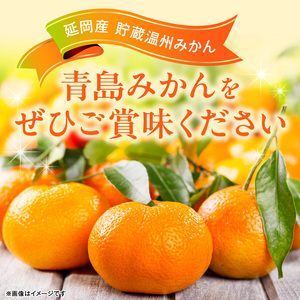 青島みかん（5kg）12月下旬から発送 N050-YA2274