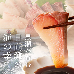 【6ヶ月定期便】大和のこだわり漁師のお刺身4人前 N072-YD0189_2