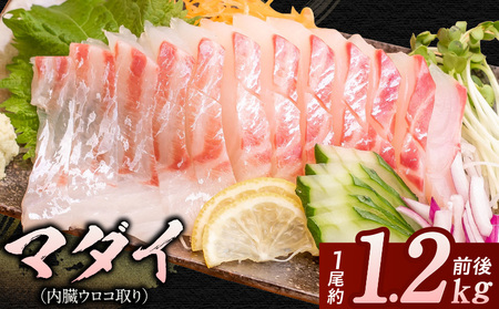 マダイ（内臓ウロコ取り）1尾分 N015-YA3329