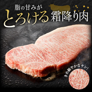 宮崎牛すき焼用900g(450g×2)（A5等級）　N061-ZC403