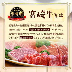 ＜便利な個包装＞宮崎牛コロッケ70g×10個 N124-YA671