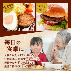 宮崎牛ハンバーグ100g×10個 N124-YD0199