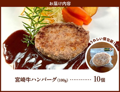 宮崎牛ハンバーグ100g×10個 N124-YD0199