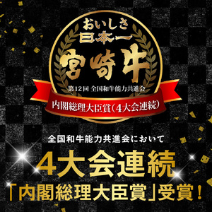 【6ヶ月定期便】宮崎牛と宮崎県産豚 N0147-YF098