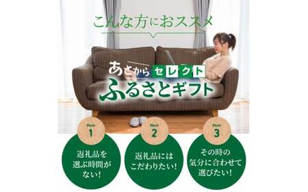 あとからセレクト1万円 N0159-YA0466