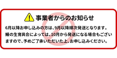 【急速冷凍】北川鰻 白焼き 4尾 延岡産 こだわり 自慢 白焼き 調理済み 国産 うなぎ ひとつひとつ 丁寧 手焼き 旨味 香り 凝縮 風味 美味しい 清流 養殖 安心 安全 冷凍 簡単 魚 お魚 魚介 食品 食べ物 宮崎県 延岡市 北川淡水 お取り寄せ お取り寄せグルメ 送料無料 N010-YB719
