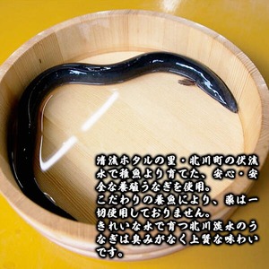 【急速冷凍】北川鰻の白焼き（4尾×4ヶ月） N010-YG0148