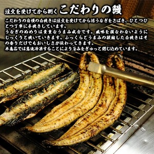 【急速冷凍】北川鰻の白焼き（4尾×4ヶ月） N010-YG0148