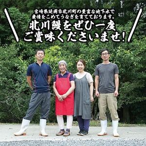 【急速冷凍】北川鰻の白焼き（4尾×4ヶ月） N010-YG0148