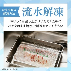 大和サーモン(サクラマス)のお造り 宮崎の美味を味わう 8人前 N072-YA857