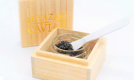 ASAHIキャビア60g N032-YZD013