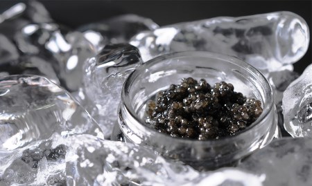 ASAHIキャビア20g×6ヶ月定期便 N032-YZG020