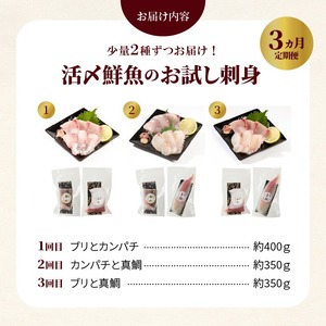 人気のお刺身3ヶ月定期便 少量2種ずつお届け N019-YC911