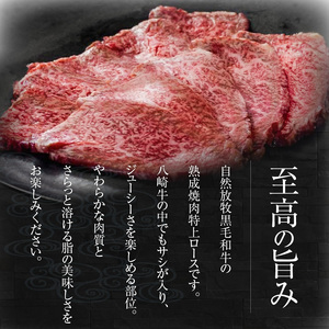 八崎牛の熟成焼肉 特上ロース 約80g×4個 N0105-YB443