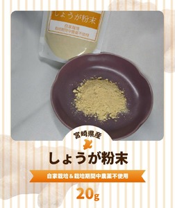 しょうが 粉末 N048-YA0494