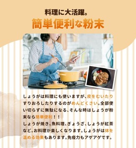 しょうが 粉末 N048-YA0494