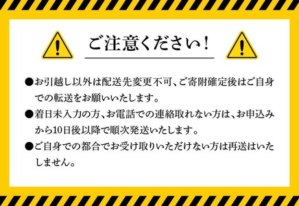 お刺身 短冊 5種セット 計650g以上 N019-YC810