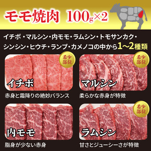 宮崎牛焼肉食べ比べ4種～8種盛り 合計800g　N0140-YC523