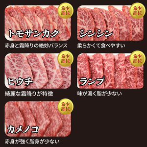 宮崎牛焼肉食べ比べ4種～8種盛り 合計800g　N0140-YC523