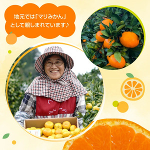 青島みかん 10kg N0132-YB351