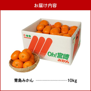 青島みかん 10kg N0132-YB351