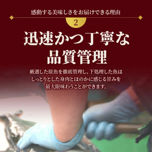 延岡産活〆鮮魚　職人技の脱血鮮魚　シマアジ　N019-ZB419