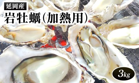 A439 岩牡蠣(加熱用) 3kg
