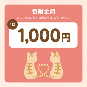 人と猫が互いに幸せになれるまちを目指して『不妊去勢手術支援プロジェクト』（返礼品はありません） N0159-9999997