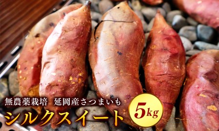 【先行予約】延岡産無農薬栽培さつまいも(シルクスイート)5kg(2021年9月発送開始)(A025)