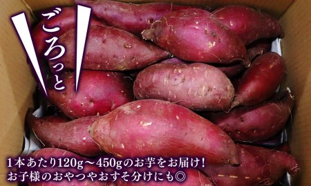 A025 延岡産無農薬栽培さつまいも シルクスイート 5kg 宮崎県延岡市 ふるさと納税サイト ふるなび